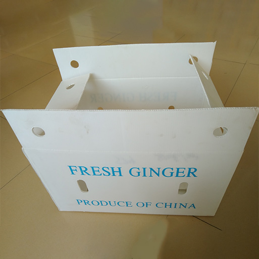 Corrugated Plastic Frozen Fish Packaging Boxes