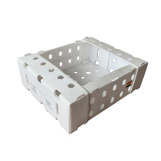 Polypropylene Corrugated Plastic Boxes for Fruits & Vetables Packing